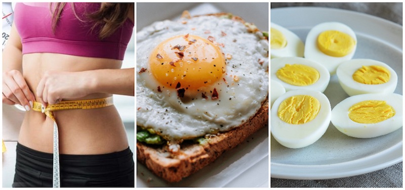 Reasons Why Eggs are Good For Weight Loss 